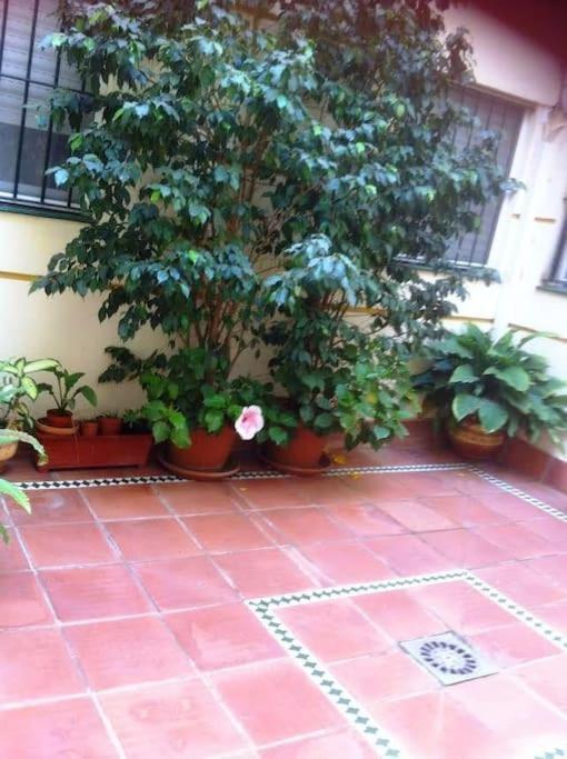 Apartamento Paola El Puerto de Santa Maria Ngoại thất bức ảnh